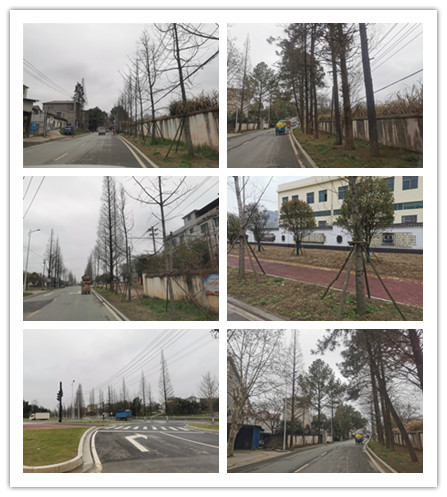 ΢ͼƬ_20210309160444_.jpg